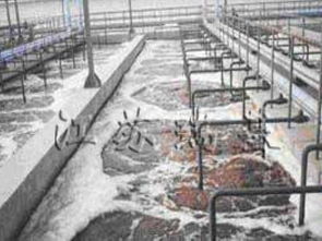 科技賦能，碧水新生 環(huán)保設(shè)備領(lǐng)域污水處理最新成果展示