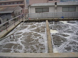 污水處理工程 守護藍色星球的綠色防線